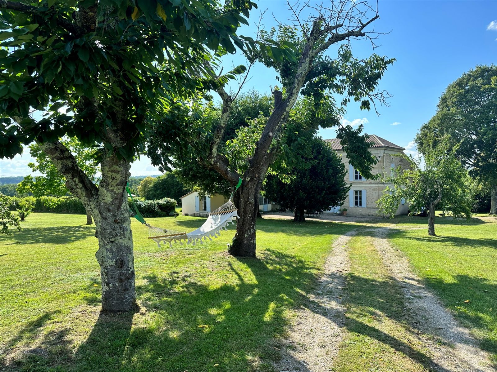 A tree-lined approach across the garden toward the house