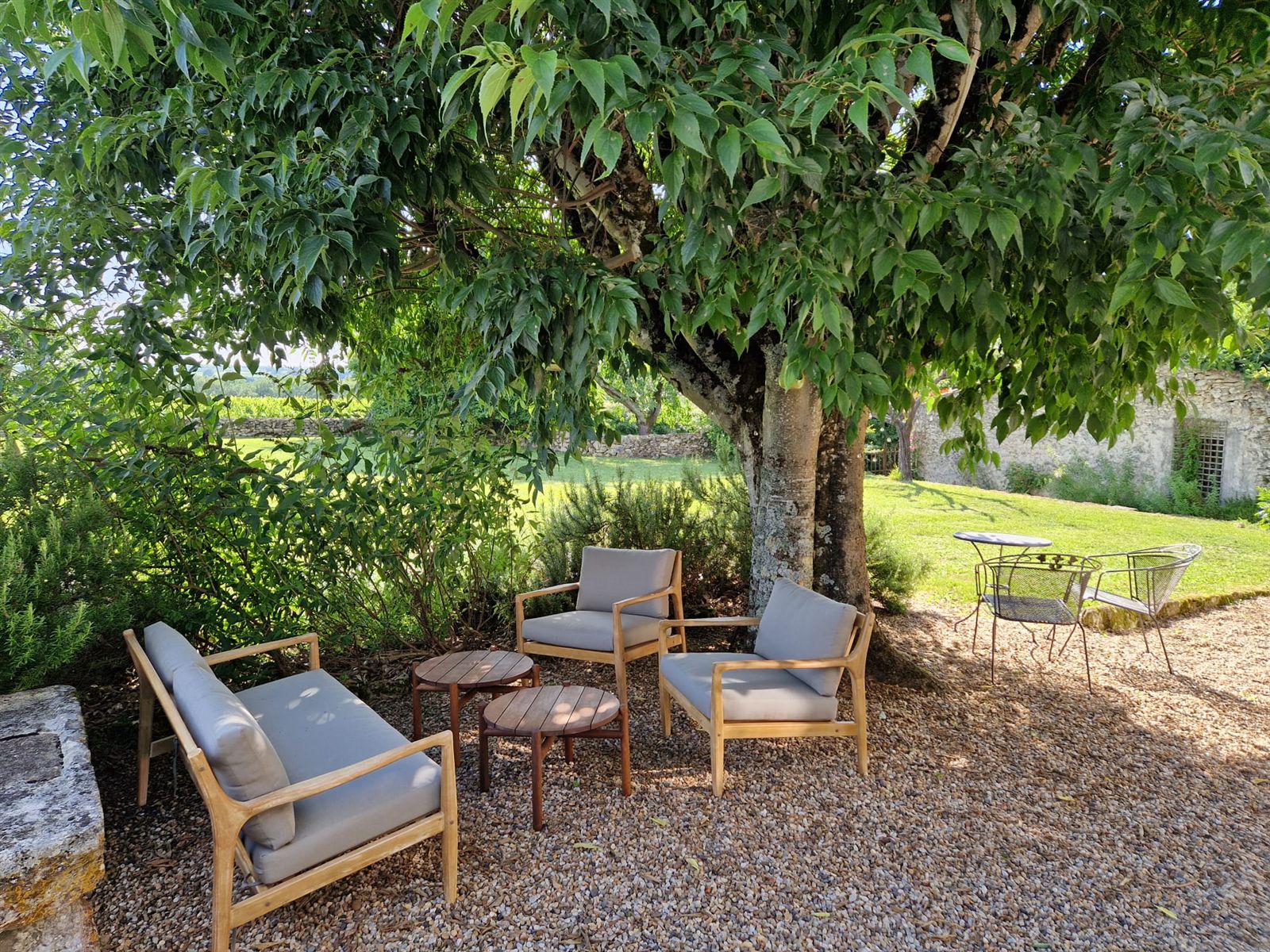 A shaded seating area beneath a mature tree