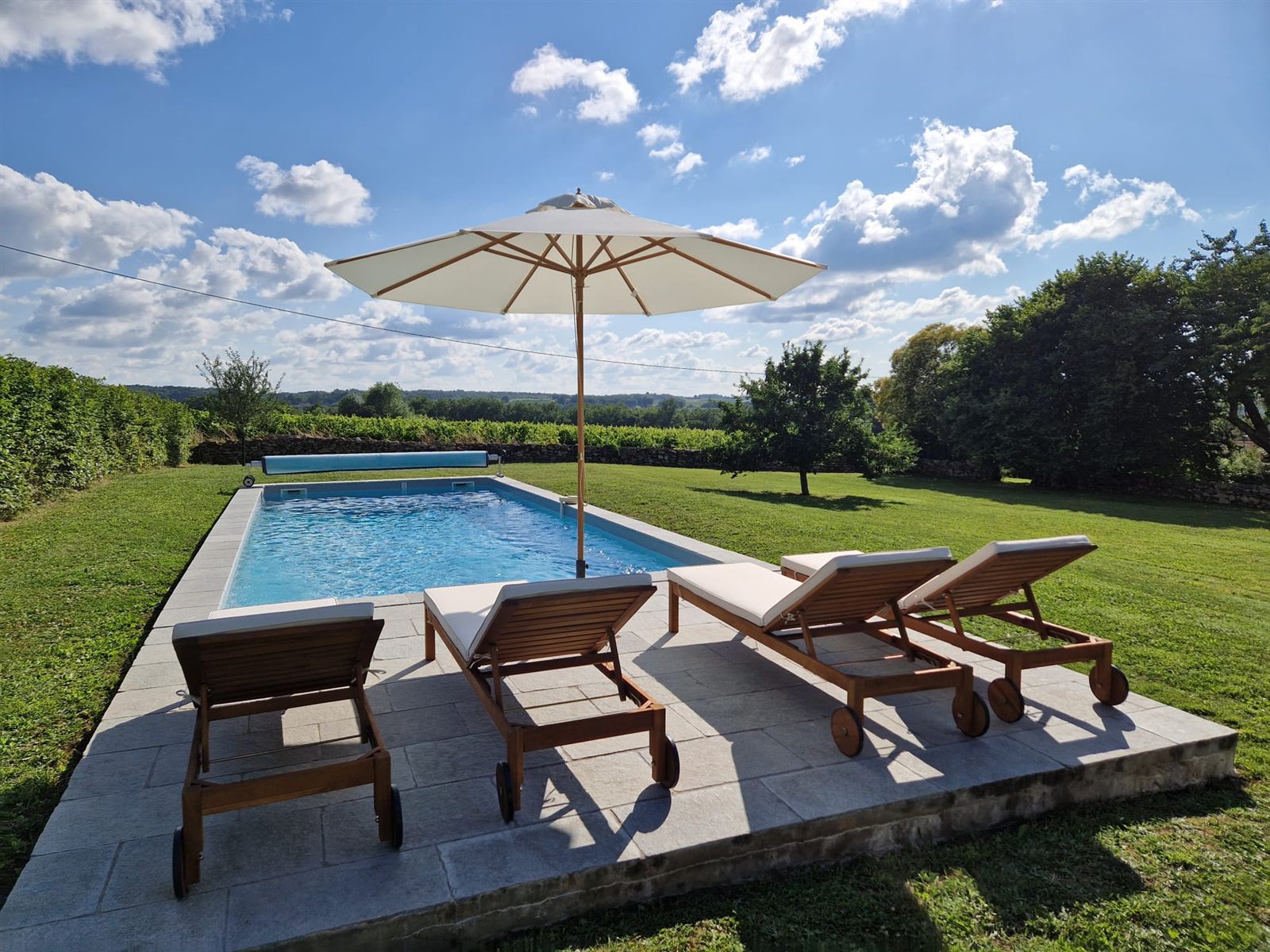 Long swimming pool beside the lawn